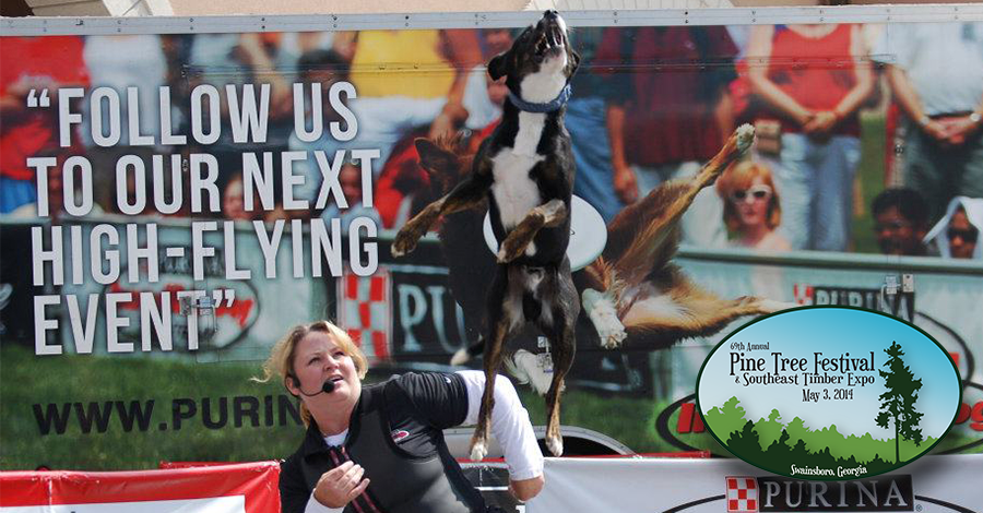  Purina Incredible Dog Team