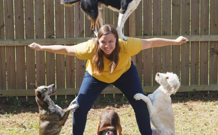 Showtime Canines